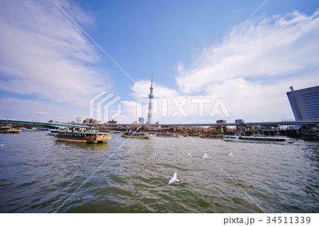 隅田川 東京スカイツリー 屋形船 桜の写真素材