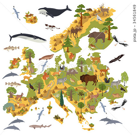 ヨーロッパ フローラ 植物相 動物相のイラスト素材