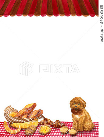 パン トイプードル 犬 パン屋の写真素材