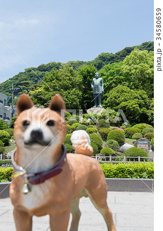 薩摩犬 西郷隆盛の写真素材