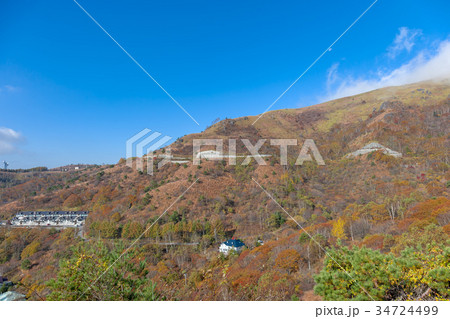 車山高原 10月 紅葉 風景の写真素材