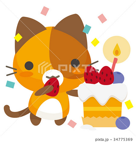 猫 三毛猫 ケーキ 誕生日のイラスト素材