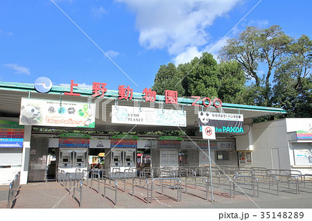上野动物园照片素材
