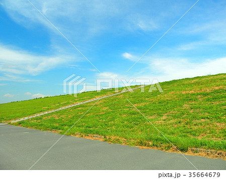 階段 雑草 土手 河川敷の写真素材