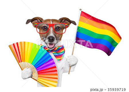 わんこ 犬 ゲイ 同性愛の写真素材