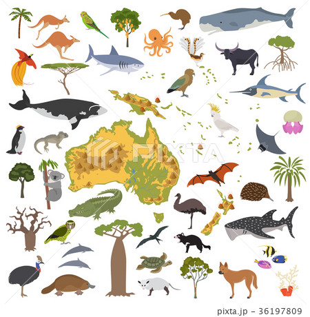 Australia And Oceania Flora And Fauna Mapのイラスト素材