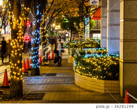 錦糸町 イルミネーションの写真素材