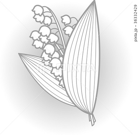 たにまのひめゆりのイラスト素材