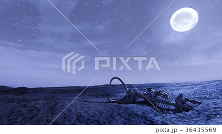 砂漠 夜 月 Cgのイラスト素材