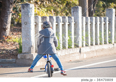 幼児 後姿 少年 自転車の写真素材