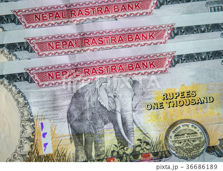 ネパール 旧紙幣 250ルピー Neapli Bill 250-