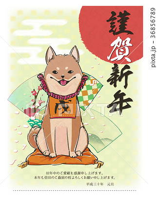 犬 柴犬 おすわり 笑顔のイラスト素材