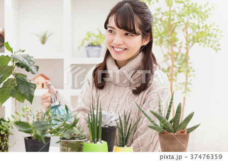 女性 植物女子 多肉植物 若いの写真素材