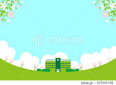 春 校庭 桜 学校のイラスト素材