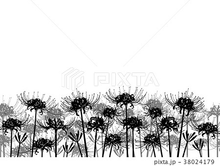 彼岸花 曼珠沙華 花 シルエットのイラスト素材