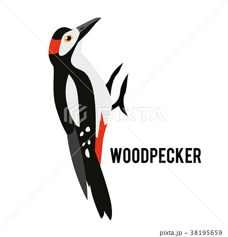 キツツキ ステキ いいね 偉いのイラスト素材