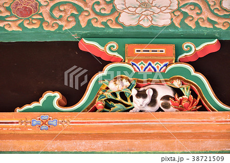 眠り猫 彫刻 東照宮 左甚五郎の写真素材 - PIXTA
