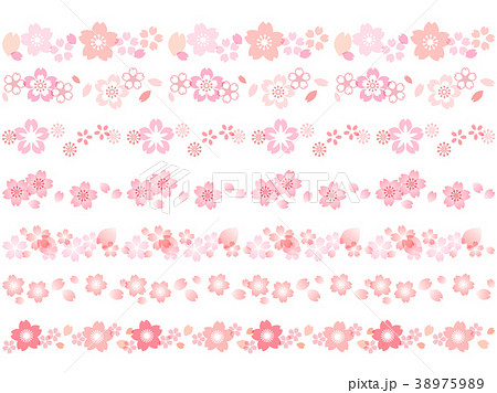 桜 罫線 ライン 線のイラスト素材