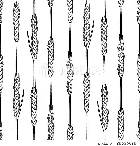 麦芽のイラスト素材