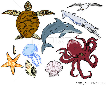 海亀 海中 亀 動物のイラスト素材