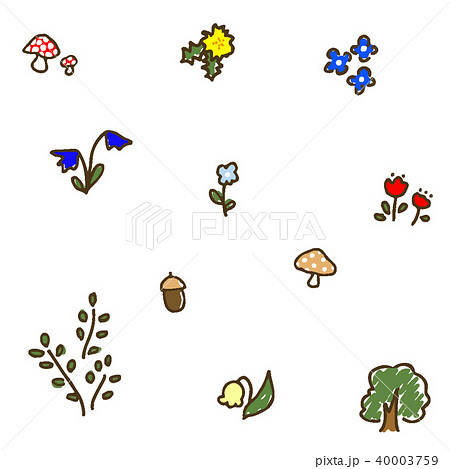 オオイヌノフグリの花のイラスト素材 - PIXTA