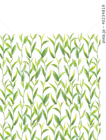 お茶の葉 イラスト お茶の葉 イラスト フリー Normamartinezjp