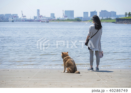 女性 後ろ姿 散歩 犬の散歩の写真素材