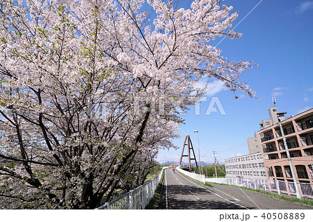 陽だまりロードの写真素材