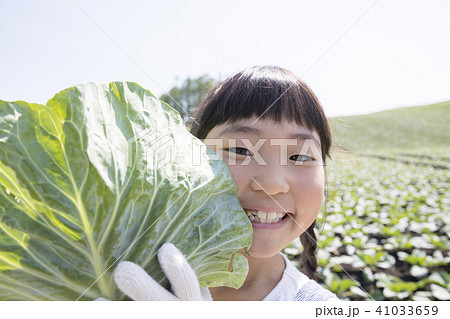 畑 キャベツ畑 赤ちゃん 1人の写真素材