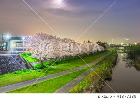 歌野橋の写真素材