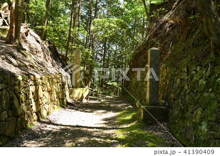 廃寺の写真素材