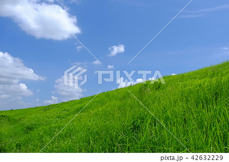 利根川 河原 土手 風景の写真素材