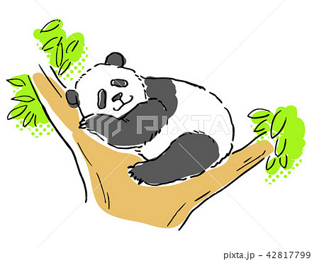 熊猫のイラスト素材 Pixta