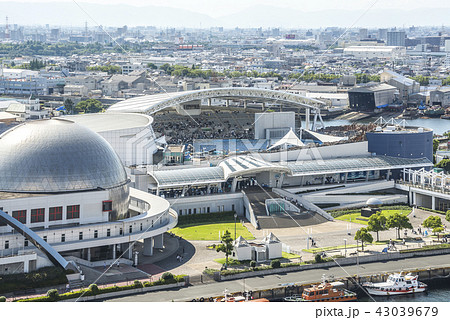 名古屋港水族館の写真素材