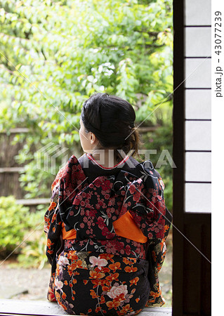 座る 女性 着物 眺めるの写真素材