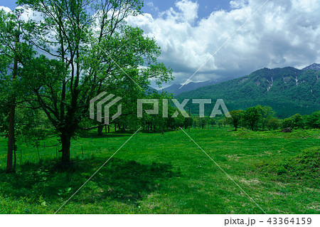 笹ヶ峰高原の写真素材