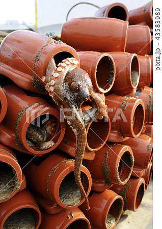 蛸壺の写真素材
