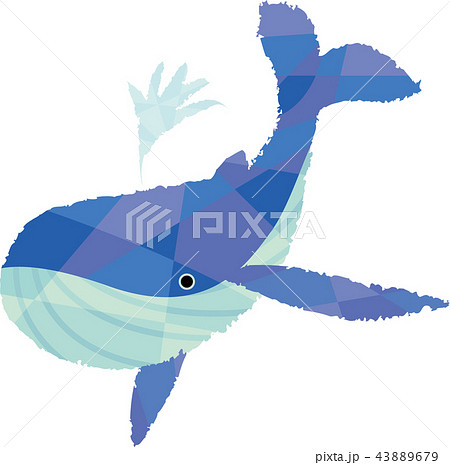 潮吹き クジラのイラスト素材