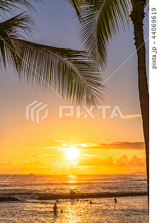 ヤシの木 夕焼け ハワイ ホノルルの写真素材 - PIXTA