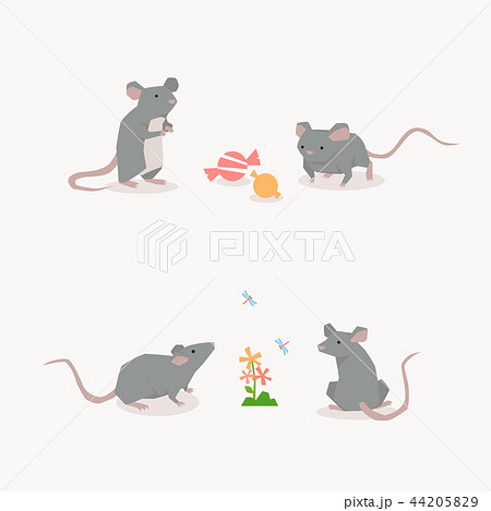 マウス実験のイラスト素材