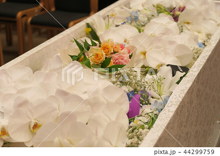 棺 花 花束 葬儀の写真素材