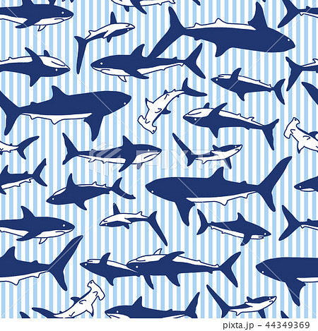 サメ 魚 泳ぐ 線画のイラスト素材