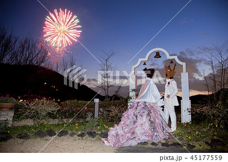 後姿 打ち上げ花火 恋人 花火の写真素材