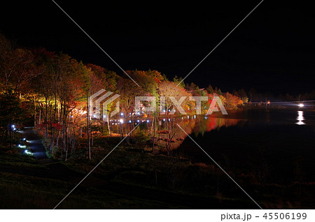 茶臼山 茶臼山高原 紅葉 ライトアップの写真素材