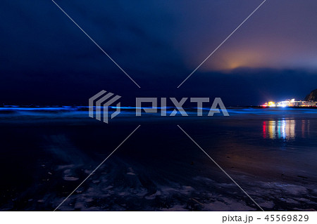 夜光虫 湘南 波 海の写真素材