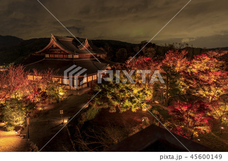 紅葉 ライトアップ 将軍塚 青龍殿の写真素材