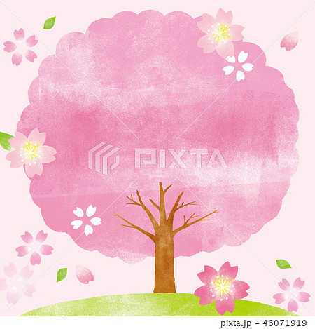 桜 桜並木 背景 春のイラスト素材