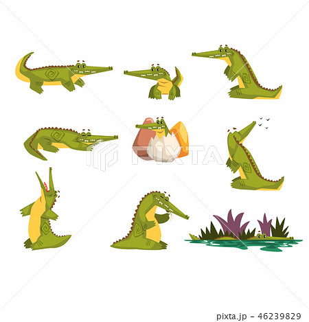 捕食のイラスト素材