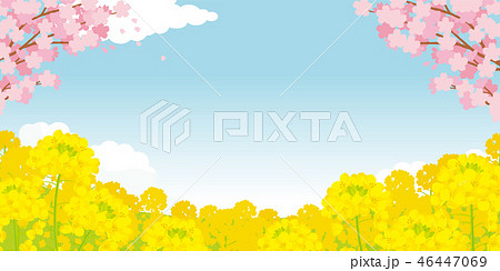 菜の花のイラスト素材集 ピクスタ