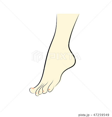 踝の写真素材